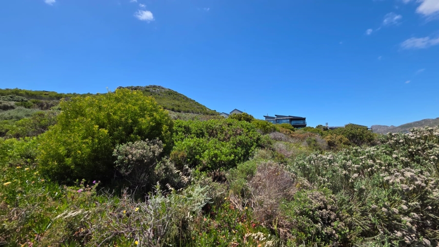 0 Bedroom Property for Sale in Chapman